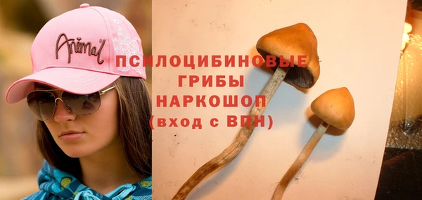 твердый Костерёво