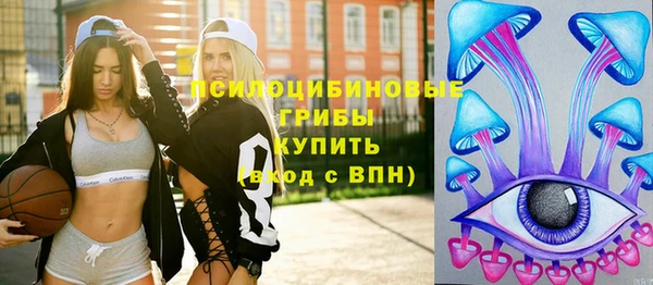 мяу мяу мука Переславль-Залесский